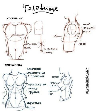 Рисование тела советы