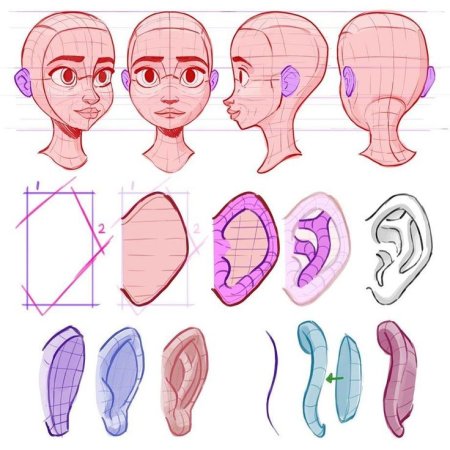 Ухо референс