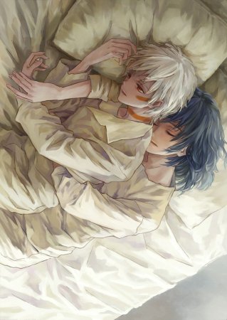 Аниме 6 зона яой