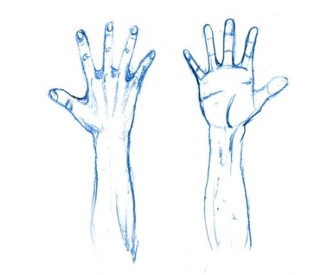 Рисования кисть руки прямая