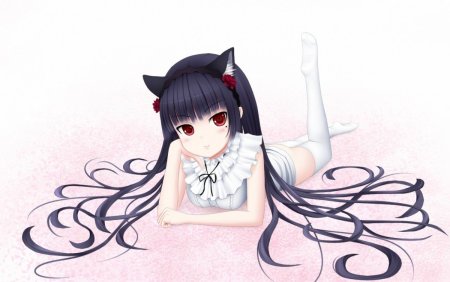 Аниме девочки кошки милые