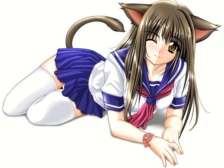 Аниме девочки кошечки