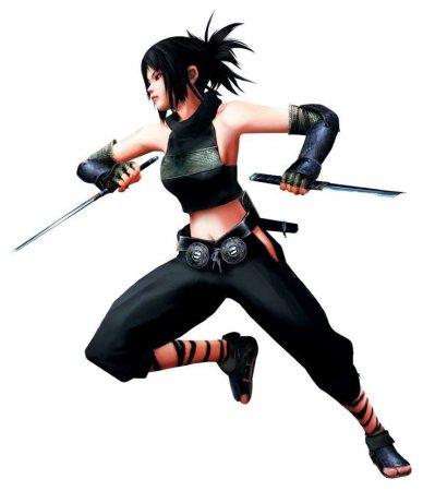 Бойцы ниндзя-куноити