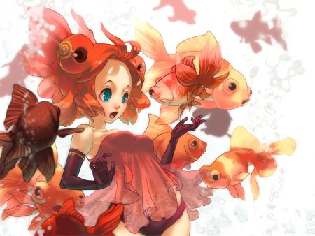 Рыбки кои хуманизация