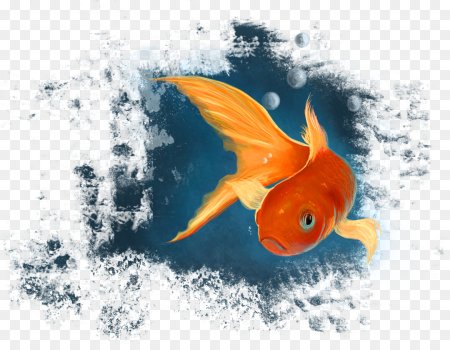 Золотая рыбка уплывает