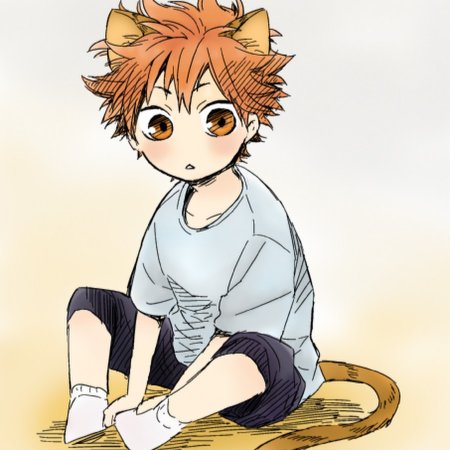 Хината шоё кот