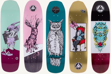 Типы скейтбордов