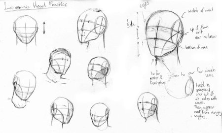 Строение головы рисунок аниме