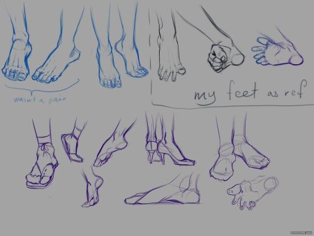 Нога спереди референс