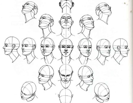 Голова человека ракурсы референс