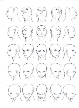 Голова человека ракурсы референс