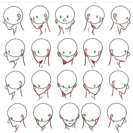 Анатомия для рисования