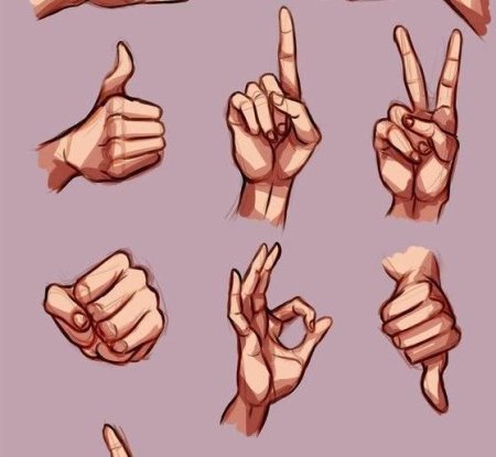 Референсы рук жесты