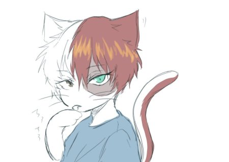 Тодороки котик арт