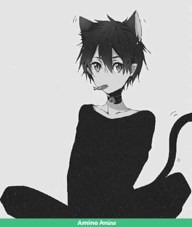 Кошкомальчики аниме