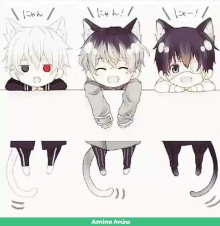 Харука Нанасэ неко кун