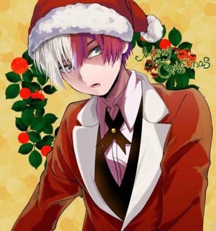 Шото Тодороки новый год