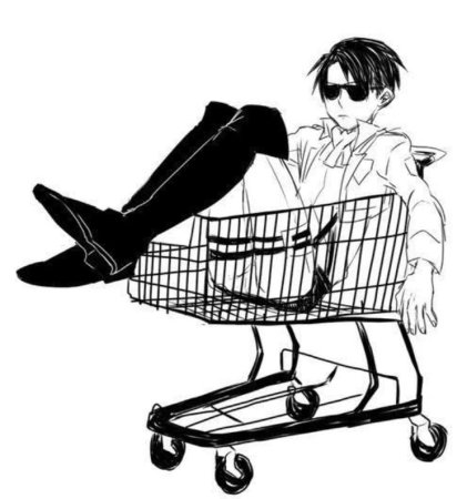 Леви Аккерман в тележке