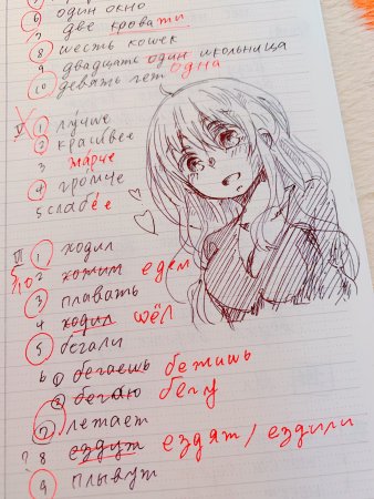 Аниме тетрадки