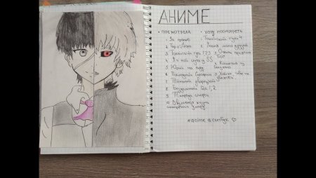 Дневник в стиле аниме