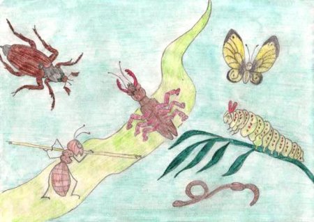 Мусоргский детская Жук