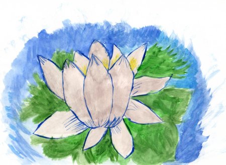 Кувшинка рисунок