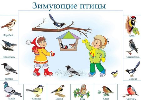 Снегирь на ветке рябины для детей