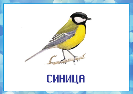 Зимующие птицы
