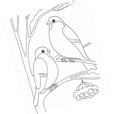 Зимующие птицы рисунки детские (54 фото)