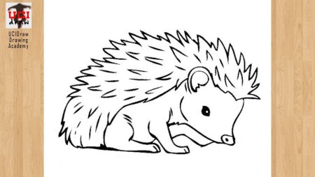 Рисунок ежа