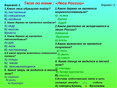 Вопросы по окружающему миру