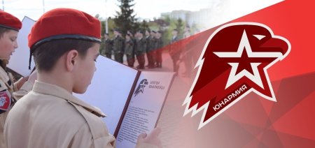 Флаг Юнармии