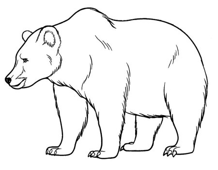 Медведь рисунок детский