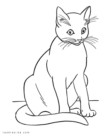 Раскраска. Котики