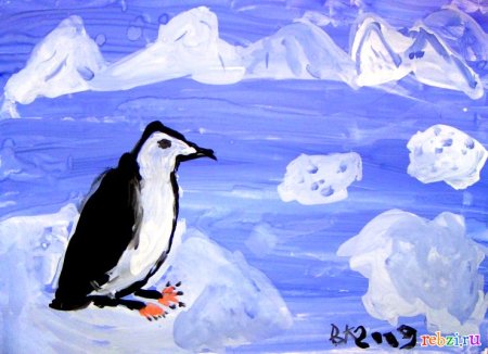 Арктика рисунок