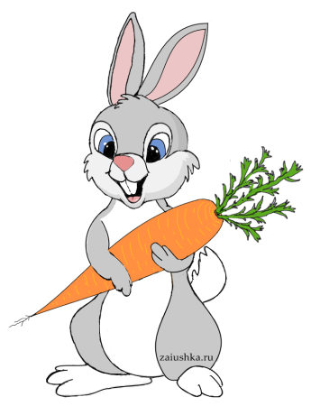 Заяц рисунок