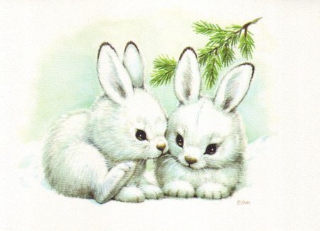 Заяц рисунок