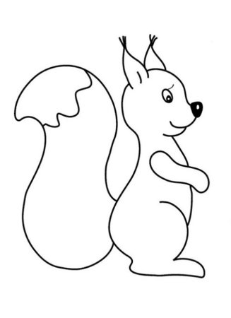 Белочка раскраска для детей