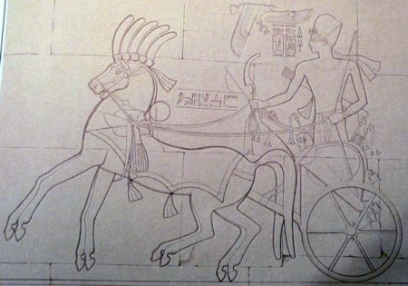 Рисунок колесницы древнего Египта