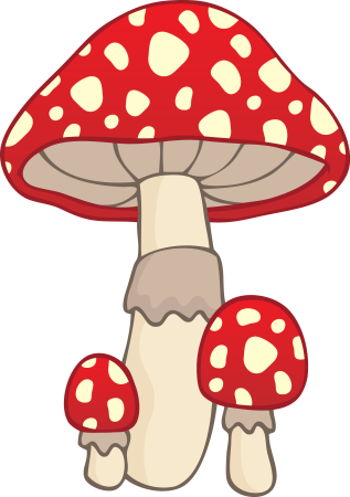 Рисование грибы