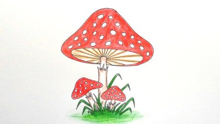 Векторные грибы