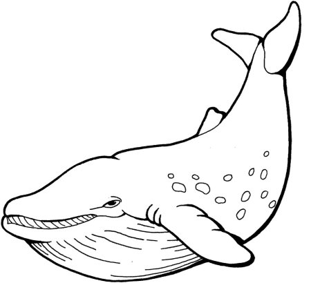 Нарисовать кита