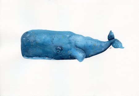 Кашалот рисунок