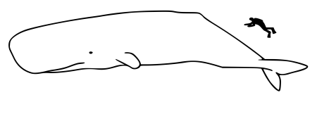 Гренландский кит контур