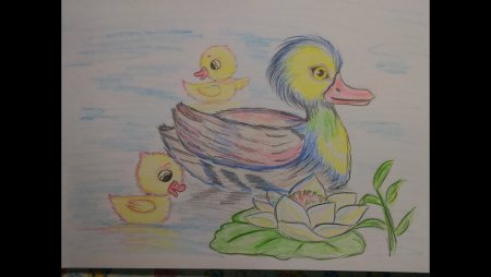 Рисование утка с утятами