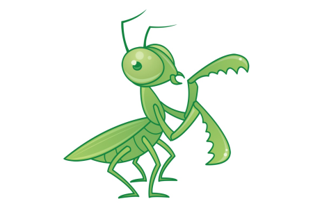 Дети богомола