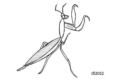 Богомол рисунок