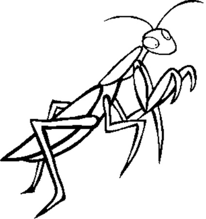 Богомол трафарет