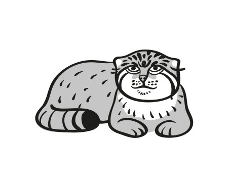 Дикий кот Манул раскраска