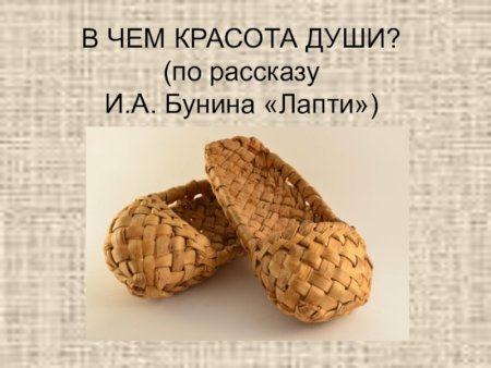 Лапти на белом фоне